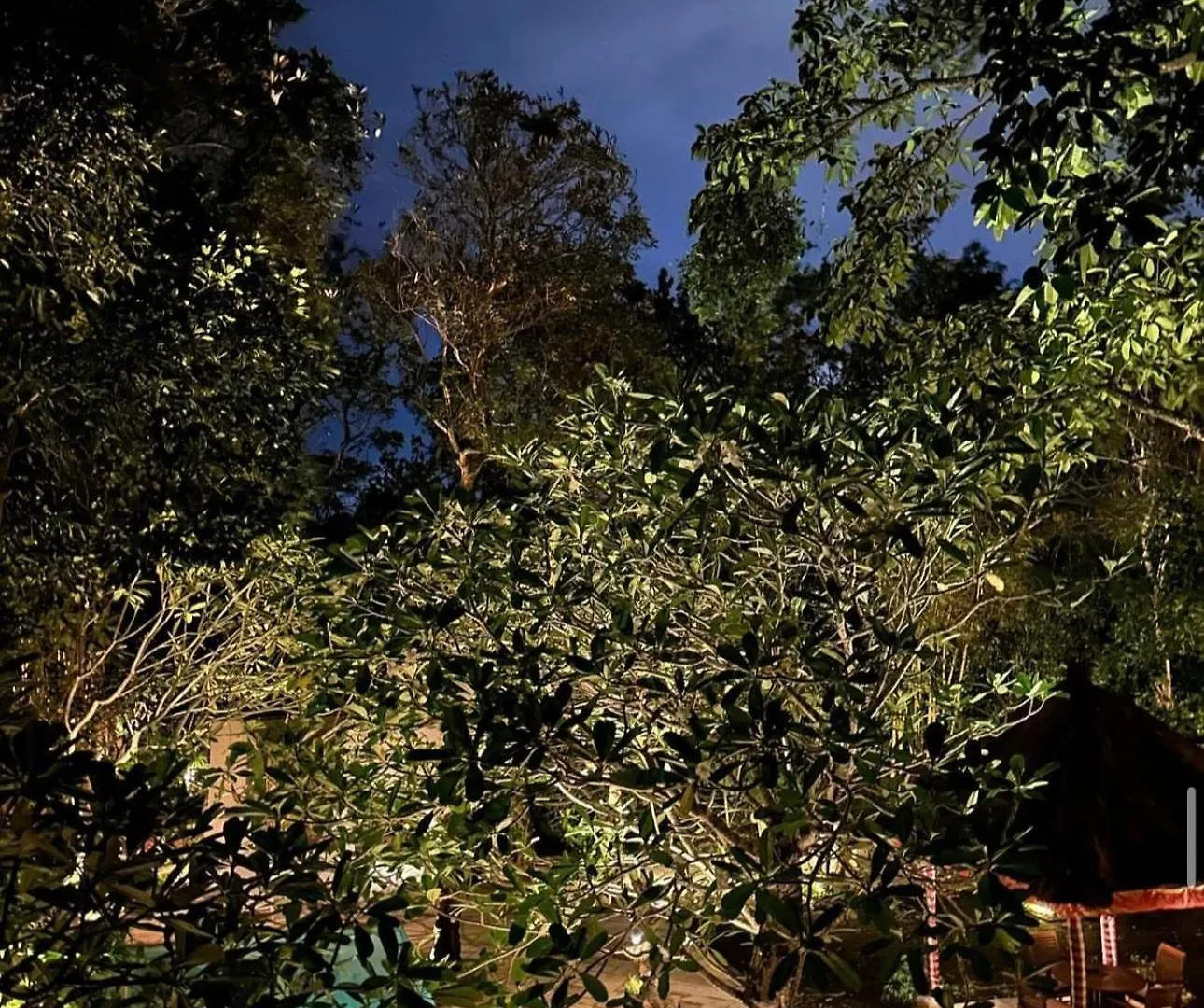 Villa Gadja Bali Jimbaran 0*,  Indonésie
